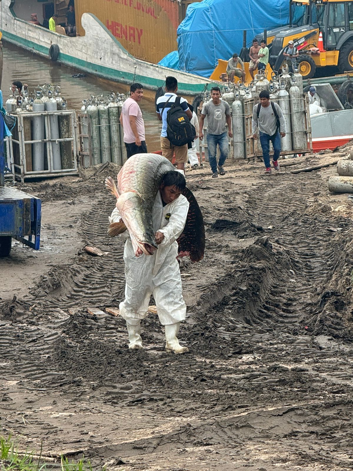 Harte Arbeitt Mann Mit Geschultettert Paiche