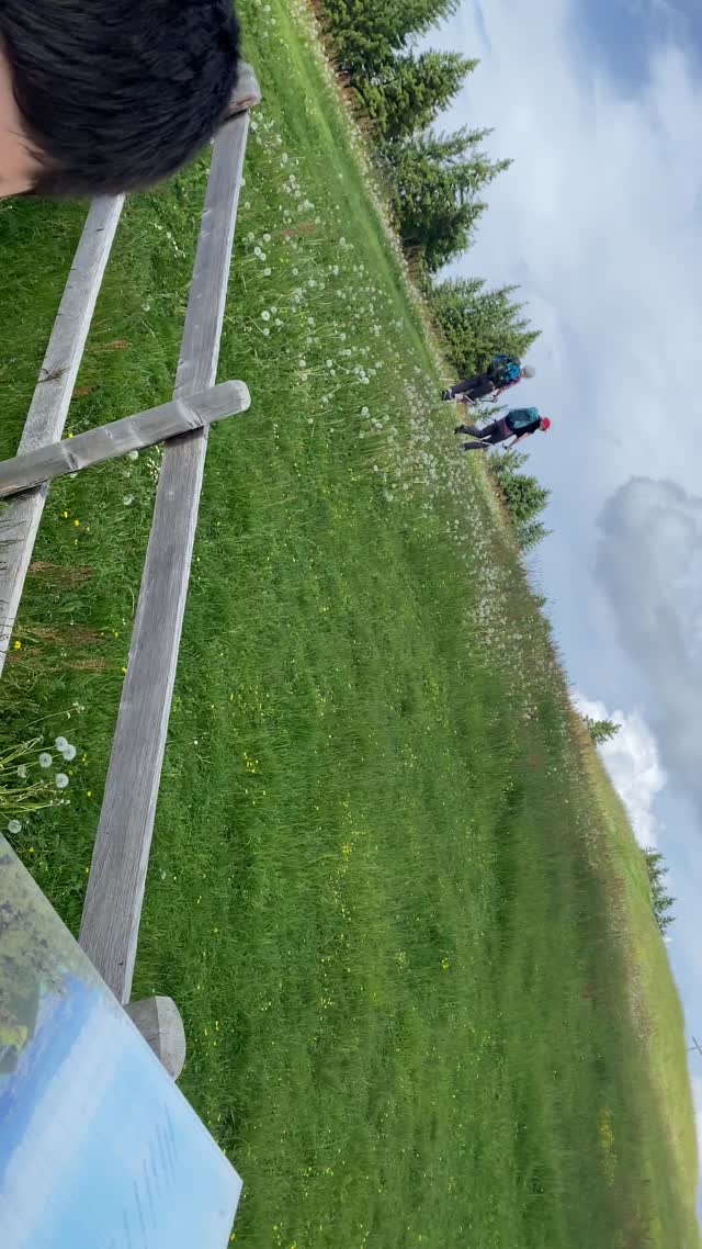 Pusteblume Megabombe Wildspitz Zug