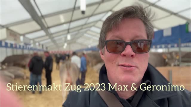 StierenmäÄRt Zug