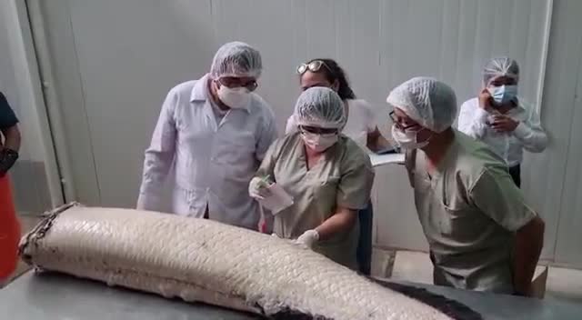 WhatsApp Video 2026 01 11 At 15.27.12